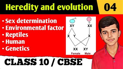 Heredity And Evolution Sex Chromosome Genetics Sex Determination Hariom Sir Class Youtube