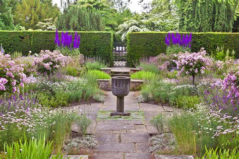 Plants For English Gardens at Doris Wheeler blog