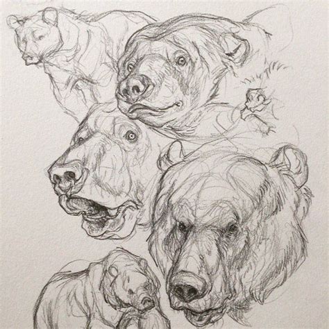 pin de nisssnissss en hayvan dibujo de animales bosquejos de