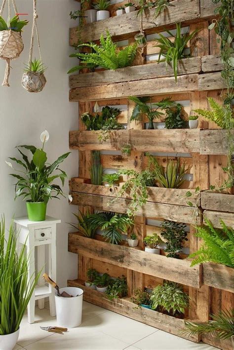 Pallets Plantas Quais Esp Cies Indicadas E Cuidados Blog Decordiario