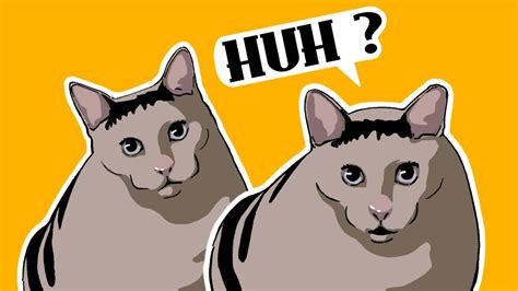 How To Draw Huh Cat Youtube