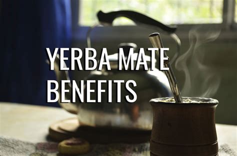 The Most Important Health Benefits Of Yerba Mate Yerba Mate Society