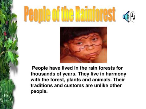 PPT What Makes Up A Tropical Rain Forest Why Are Rain Forests