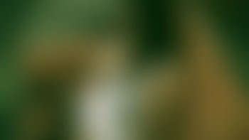 Dirty Home Porn Videos Clips4sale