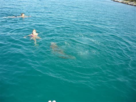 Amateur Photos 8910 IMG 433 Porn Pic