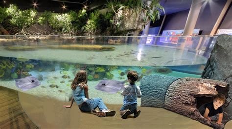 Sioux Falls Butterfly House to become 'Dakota Aquarium' with $7.5M campaign
