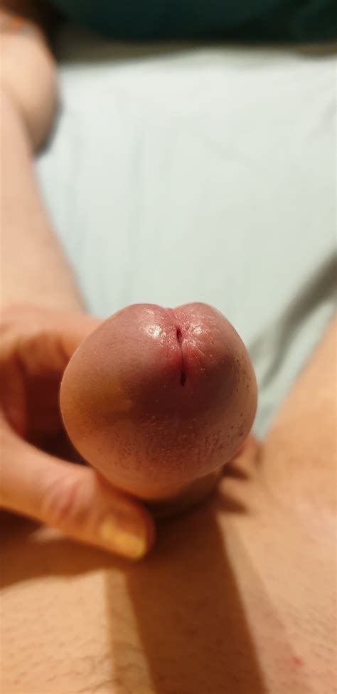 Edging My Horny Aroused Cock Pre Solo 283 Phone Photos 29 Pics XHamster