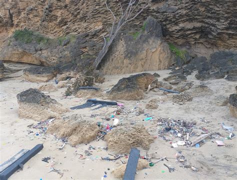 Freedom Nude Beach On Twitter Today I Am Ashamed To Be A South African After Bagging