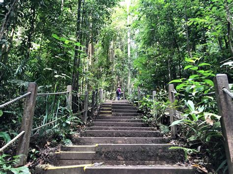 Nature Parks In Singapore Condominiums Near 7 Popular Green Spaces To