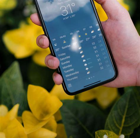 Tourists are shocked by the weather in gatlinburg tn monthly swings