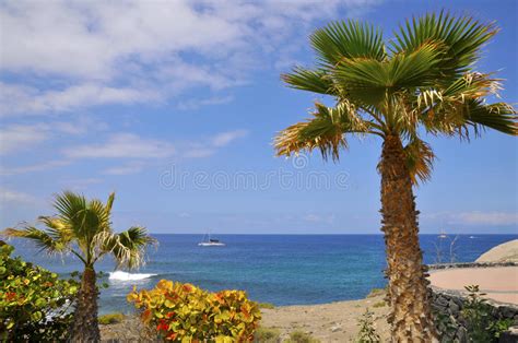 黄雀色沙丘海岛lanzarote 库存照片 图片 包括有 火箭筒 云彩 熔岩 节假日 沙子 外型 7718560