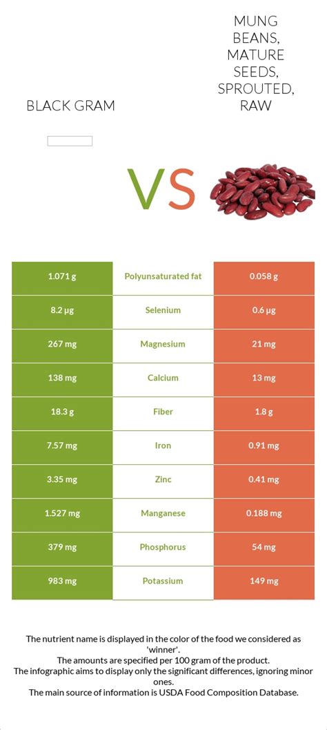 Black Gram Vs Mung Beans Mature Seeds Sprouted Raw In Depth