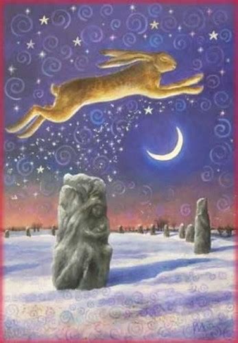 Winter Solstice and Rabbits | BinkyBunny