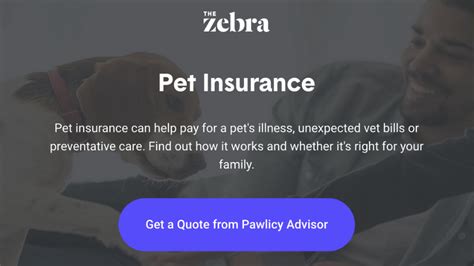 Can You Claim Your Dog Medical Expenses On Taxes