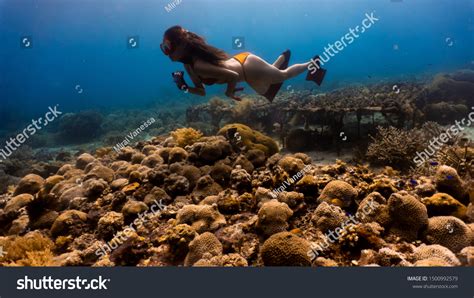 Sexy Girl Wearing Bikini Freediving Down Stock Fotografie