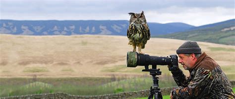 20 Pictures Showing That Nature Photographers Have The Best Jobs Ever