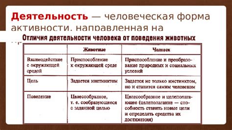 Человек и его деятельность.