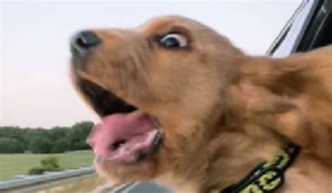 Czy dasz się na sex z dziewczyną dla dziewczyn 16 part 3 sameQuizy