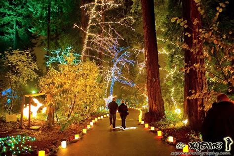 10 Magical Places To See Christmas Lights In Oregon In 2022