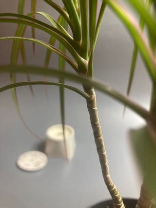 Стаканы из гипса| Candle in Stone| Соевые свечи | Мои свечи это ...