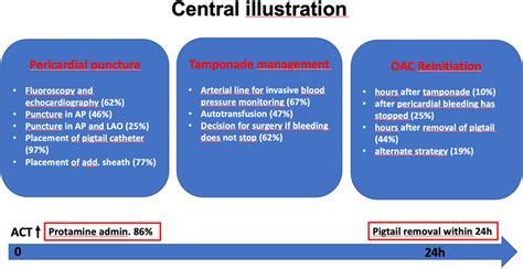 Central Figure Typical Aspects Of Management Of Cardiac Tamponade