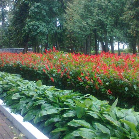 CITY PARK NAMED AFTER M. GORKIY (2025) All You Need to Know BEFORE You ...