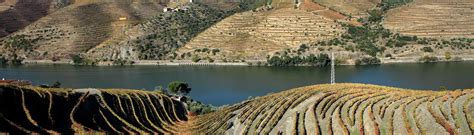 Vinho Verde aus Portugal. Jetzt bequem online aussuchen & zuhause ...