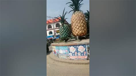 mdhupur tanggail mdhupur tanggail modupur tangail dhaka