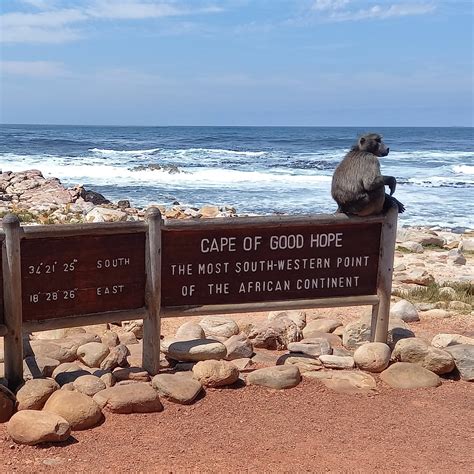 Cape Town Day Tours | Let's Go Explore | Cape Escape Tours