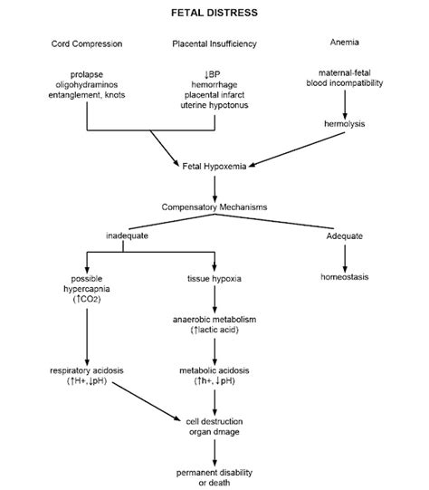 Fetal Distress; Nonreassuring Fetal Status