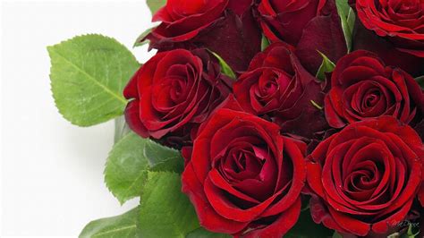 California Flower Mall Opens 24 7 Poll Says Long Stemmed Red Valentine