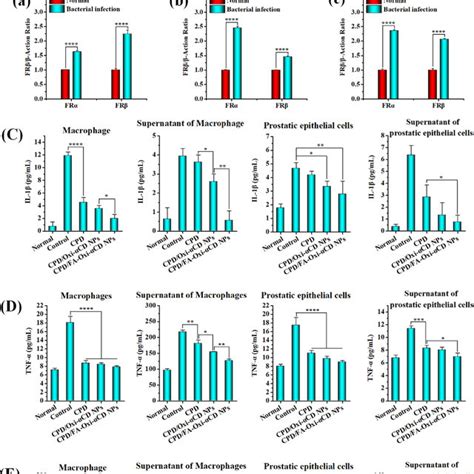 A Western Blot Analysis Of Folate Receptors Frs And Expression