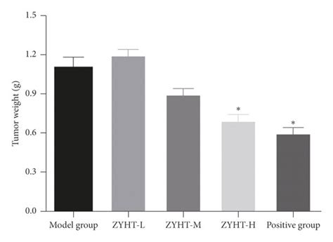 Effect Of ZYHT On Tumor Growth Of Nude Mice In 28 Days A Effect Of