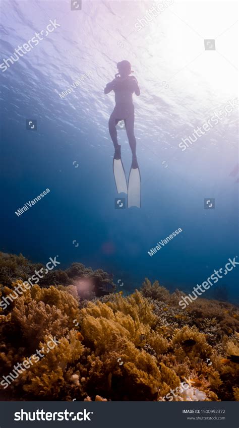 Sexy Girl Wearing Bikini Freediving Down Stock Photo 1500992372 Shutterstock