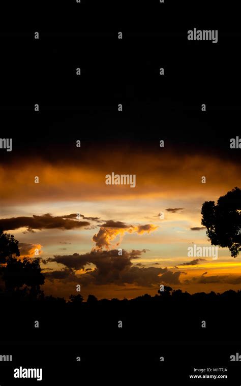 Yellow sunset with clouds and trees Stock Photo - Alamy