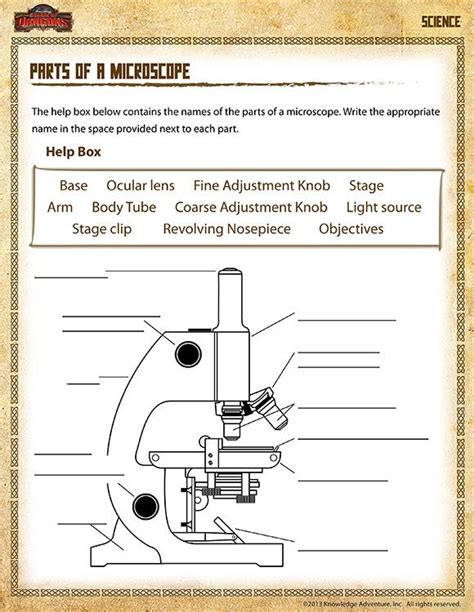 Microscope Observation Worksheet Pdf