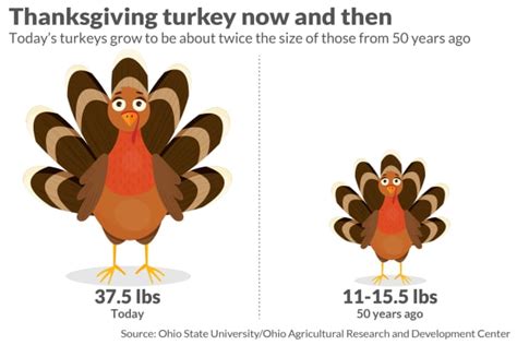 Weight Of Average Turkey / De Dept Of Ag On Twitter Did You Know That ...