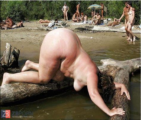 Amazing Arses Selection ZB Porn