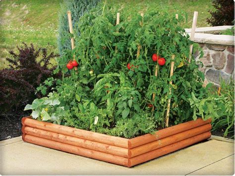 Vegetable Gardening with Raised Beds