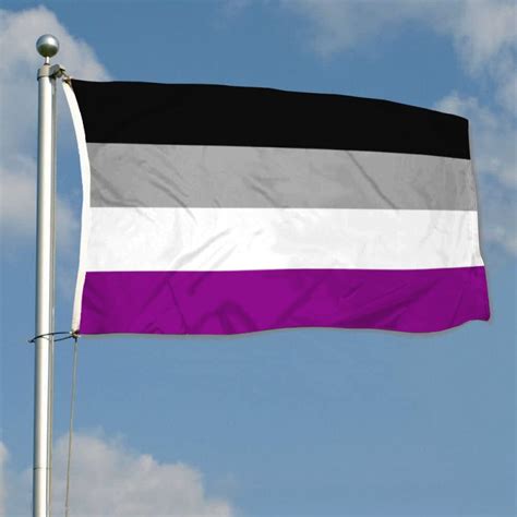 Asexuality Pride Flag Banner