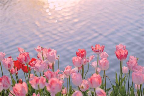 laptop wallpaper hd p aesthetic laptop wallpaper hd p