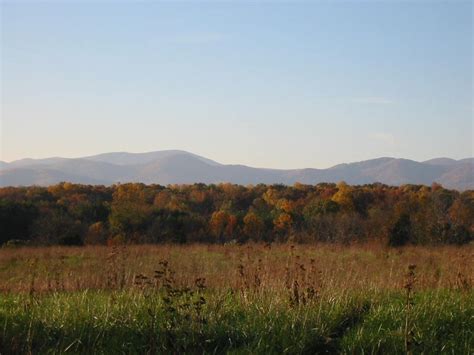 Naked Creek Trail Race Charlottesville Area Trail Runners