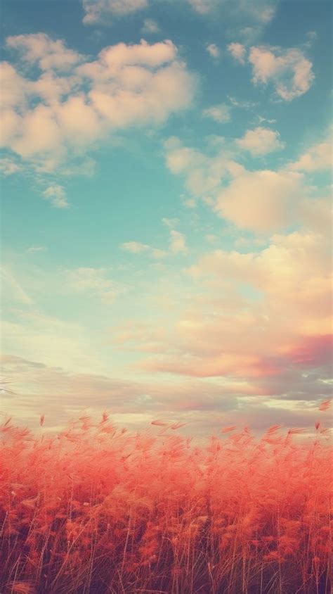 Sky and meadow landscape vegetation | Premium Photo - rawpixel