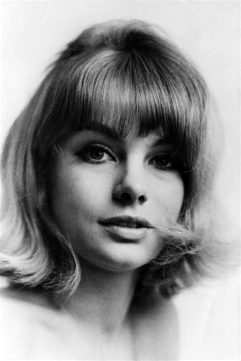 Jean Shrimpton Mod Mod 60s Movement Photo 32282104 Fanpop