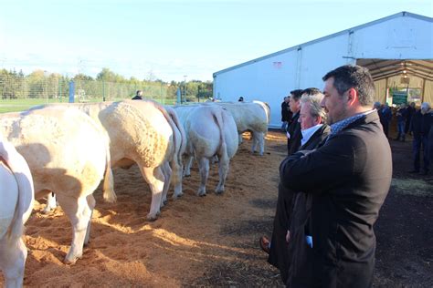 Palmarès du concours d animaux de boucherie Paysans de la Loire