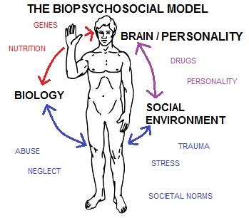 Three Personality Clusters Obsessive Compulsive PD