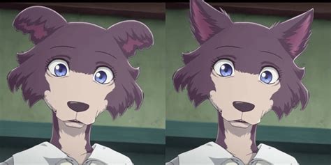 Juno But She Looks More Like A Wolf Instead Of Pomeranian Rbeastars
