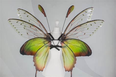 Butterfly Green Wings Forest Fairy Wings Fairy Wings Wings Photo