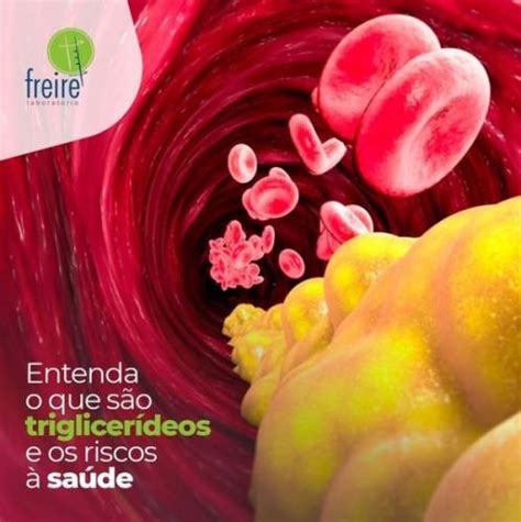 O Que Significa Plaquetas Altas Ou Baixas