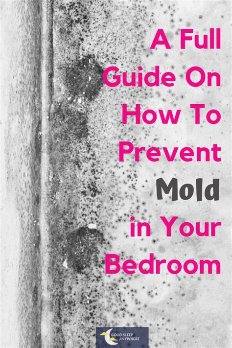 A Full Guide On How To Prevent Mold In Your Bedroom Good Sleep Anywhere